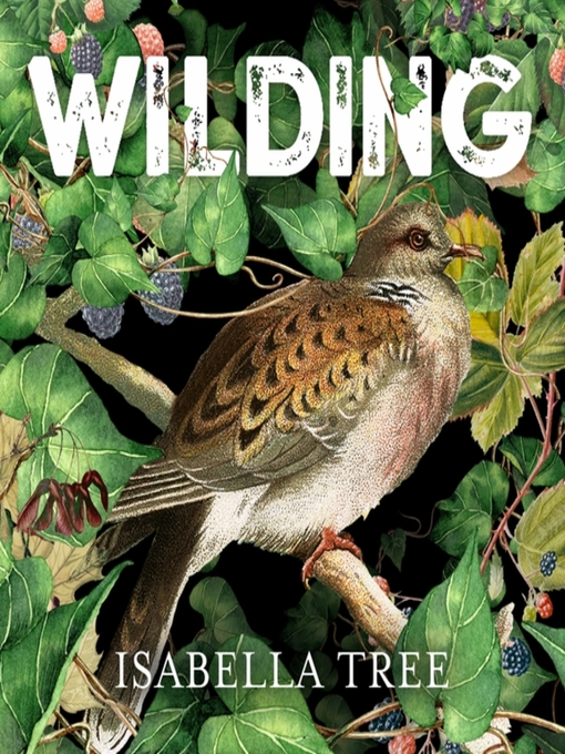 Cover image for Wilding